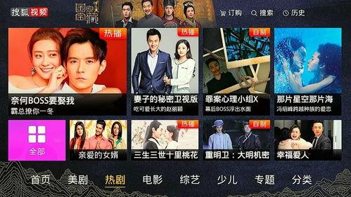 网飞猫视频网页版 